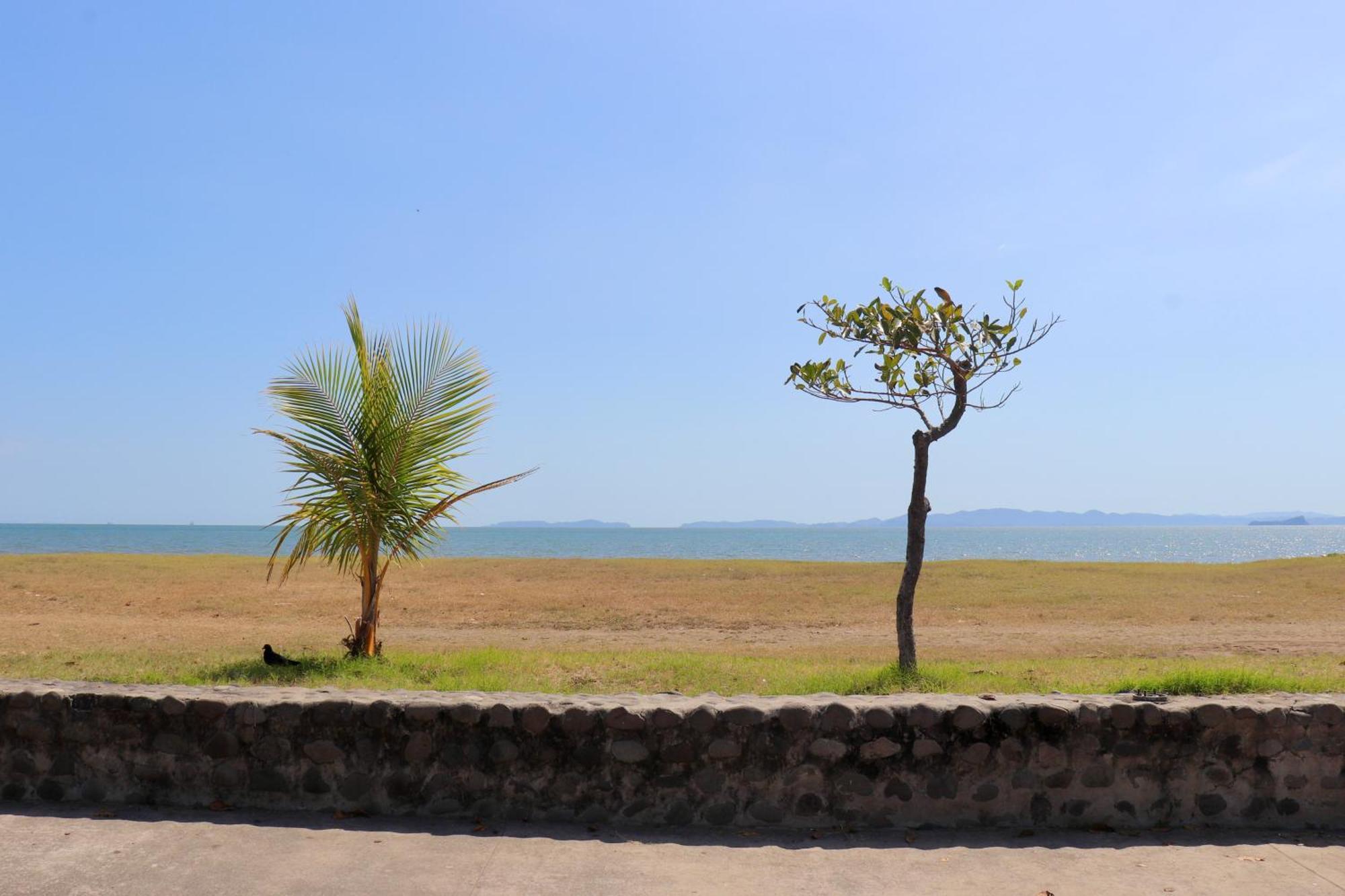 Frente Al Mar Apartment Puntarenas Exterior foto